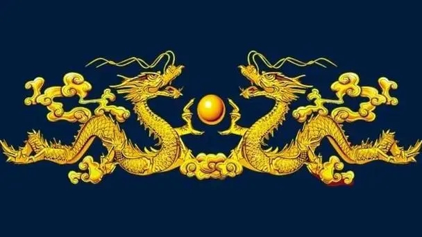 属龙女的缺点是什么？