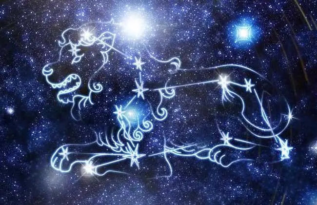 狮子座的特长