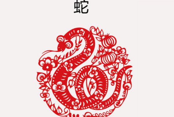 2025年是什么命
