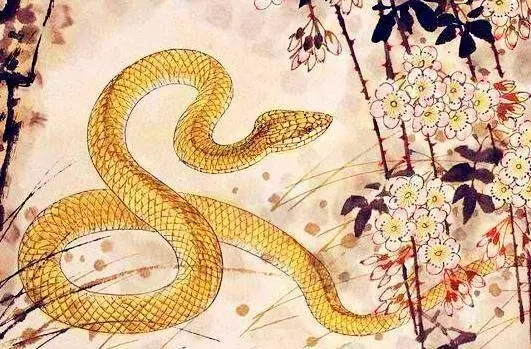 蛇生肖的守护神是什么？